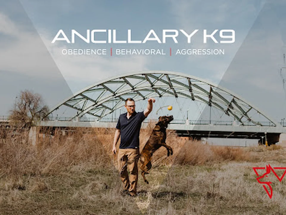 Ancillary K9 Dog Training, Denver