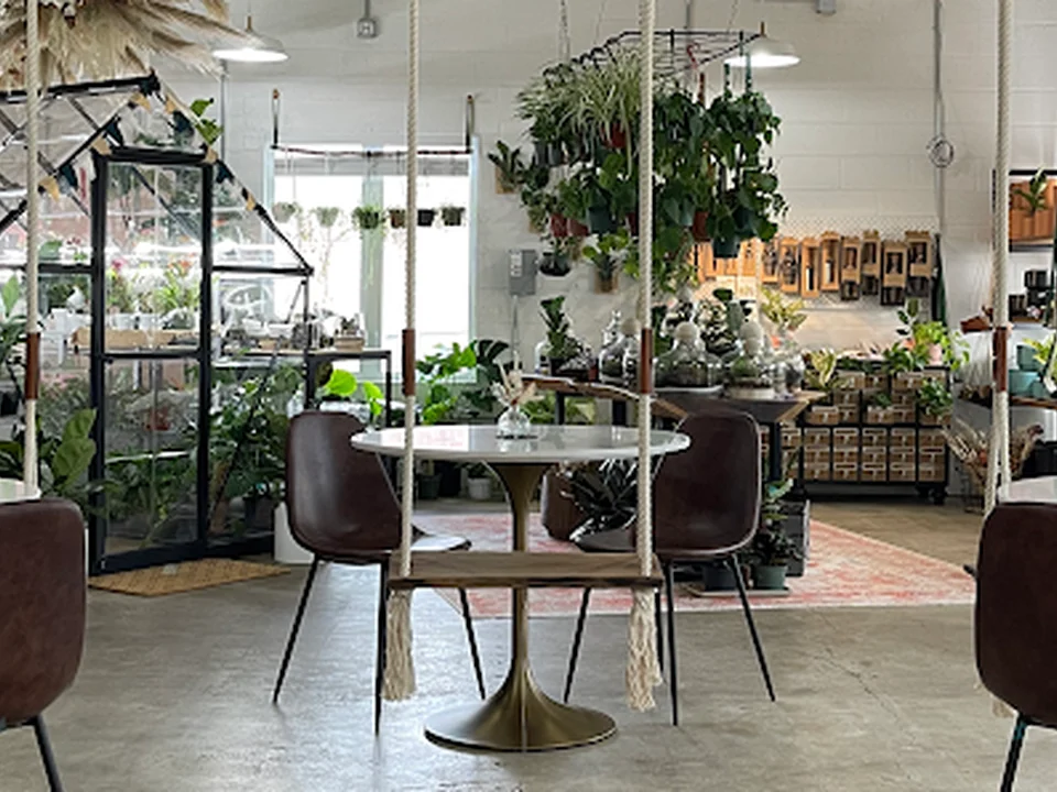 Dandy Lion Coffee Co., Denver