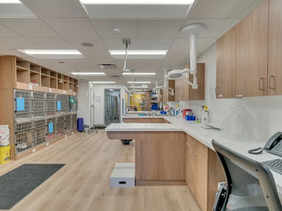 VetCare Animal Hospital, Denver