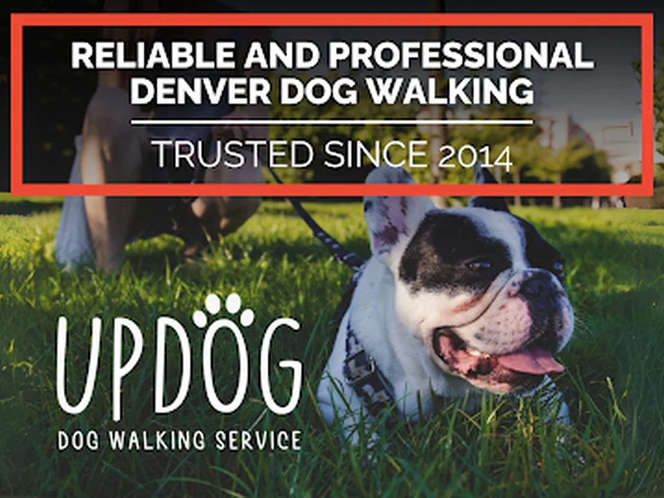 Updog Dog Walking, Denver