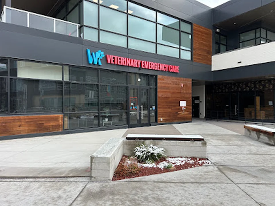 Veterinary Emergency Care Lowry, Denver