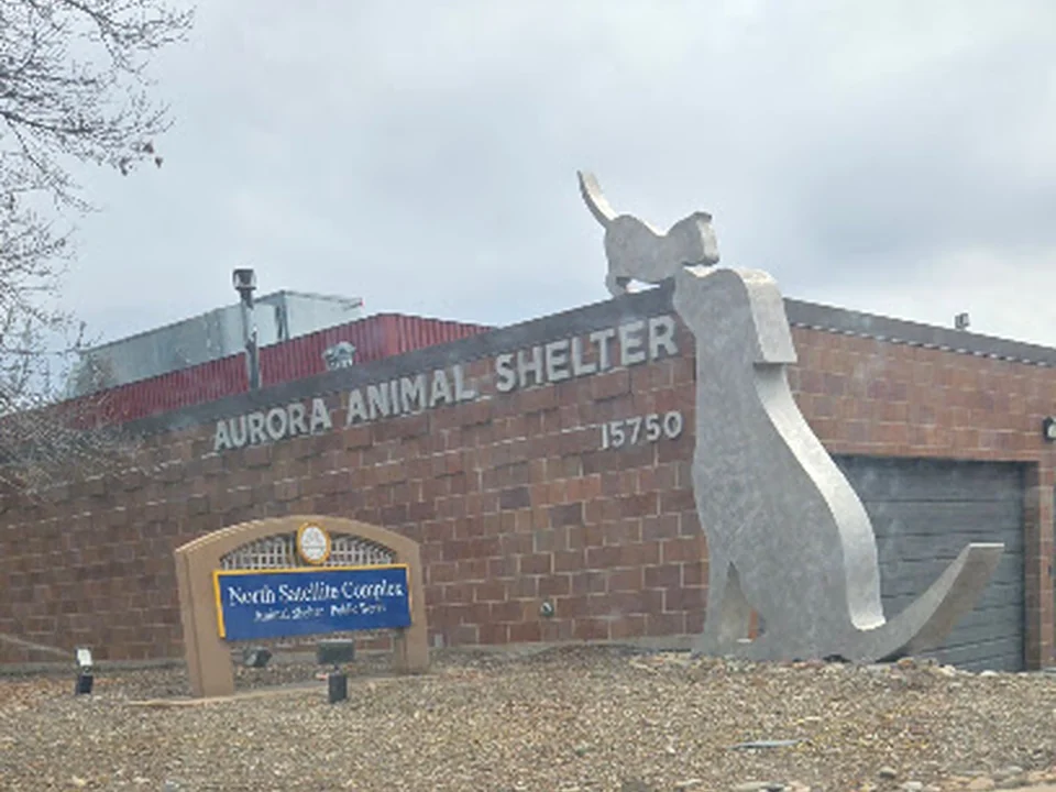 Aurora Animal Shelter, Denver