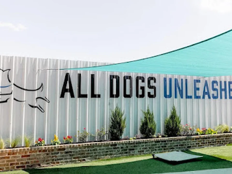 All Dogs Unleashed Dog Training Denver
