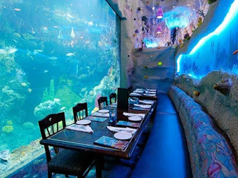 Aquarium Restaurant, Denver