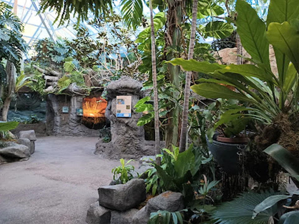 Schlessman Family Foundation Tropical Discovery, Denver