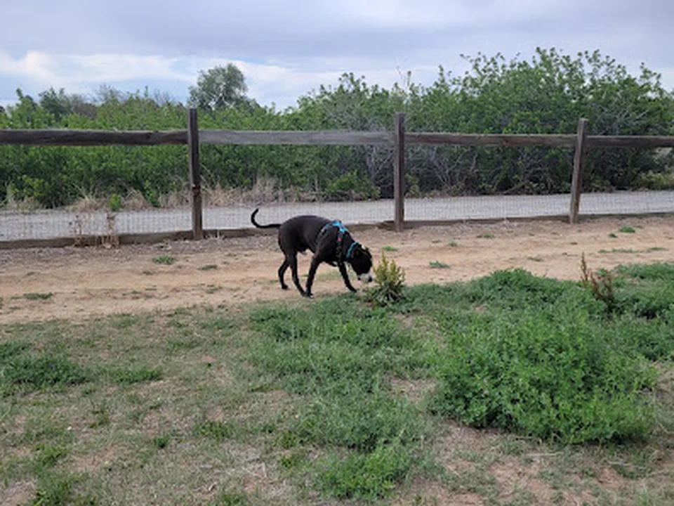 Grandview Dog Park, Denver