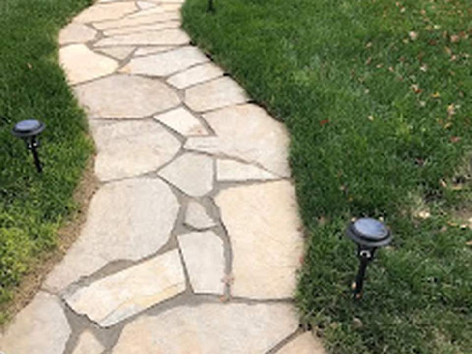 Dalia Landscape, Denver