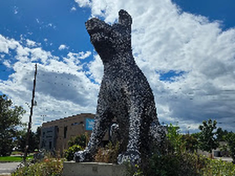 Denver Animal Shelter