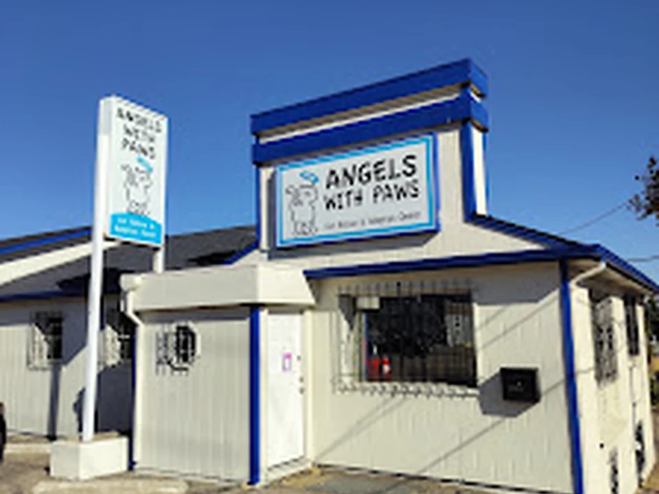 Angels With Paws, Denver