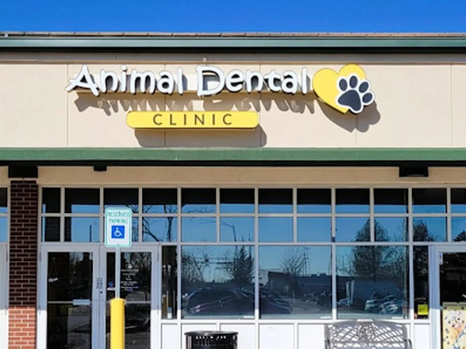 Animal Dental Clinic, Denver