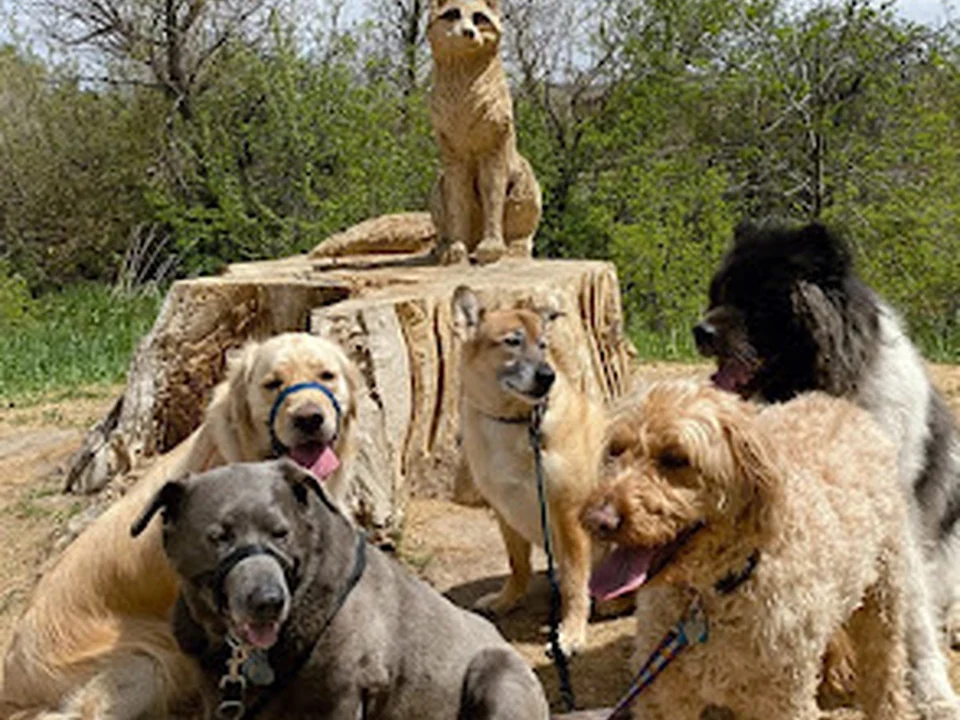 Tails Trails and Training, Denver