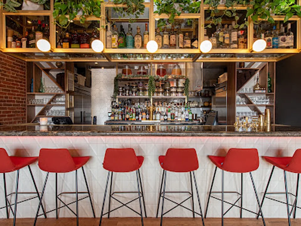 Honey Elixir Bar, Denver