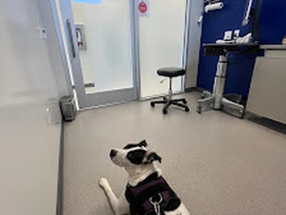 Goodheart Animal Health Center, Denver