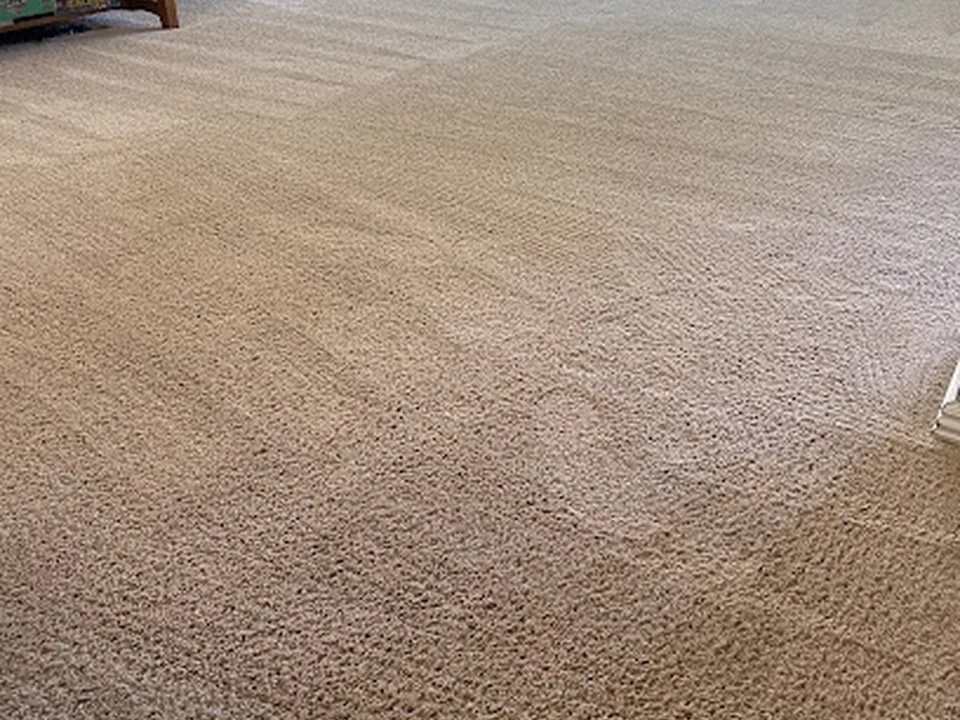 Epic Carpet Care, Denver