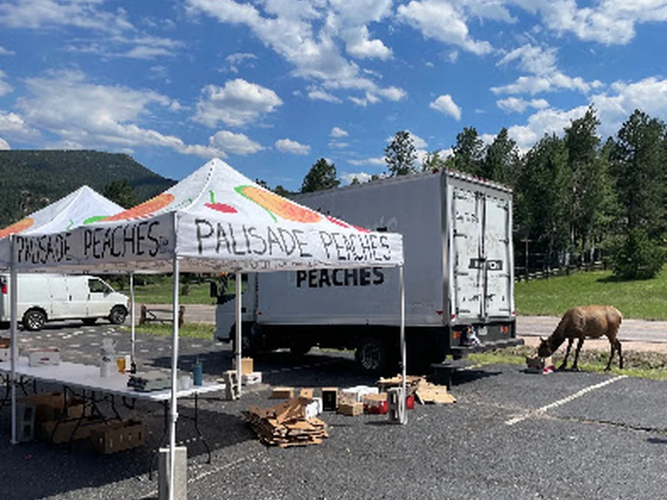 The Original Evergreen Farmers Market, Denver