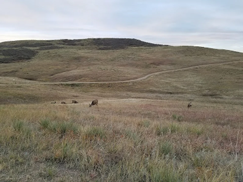 Bluffs Regional Park Trail, Denver