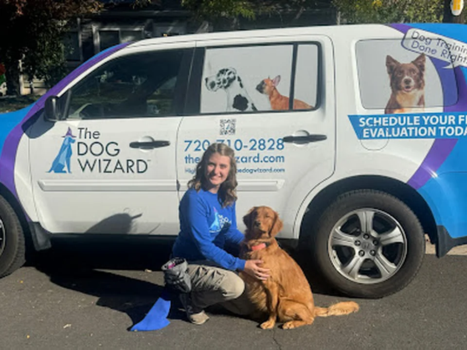 The Dog Wizard - Dog & Puppy Obedience Training Highlands Ranch, Denver