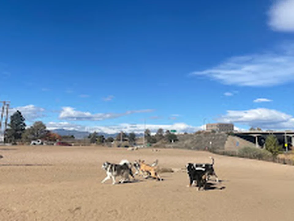Berkeley Dog Park, Denver