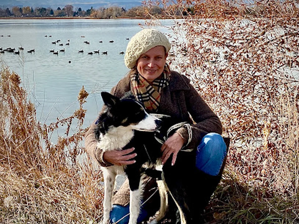 Homestay For Dogs, Denver