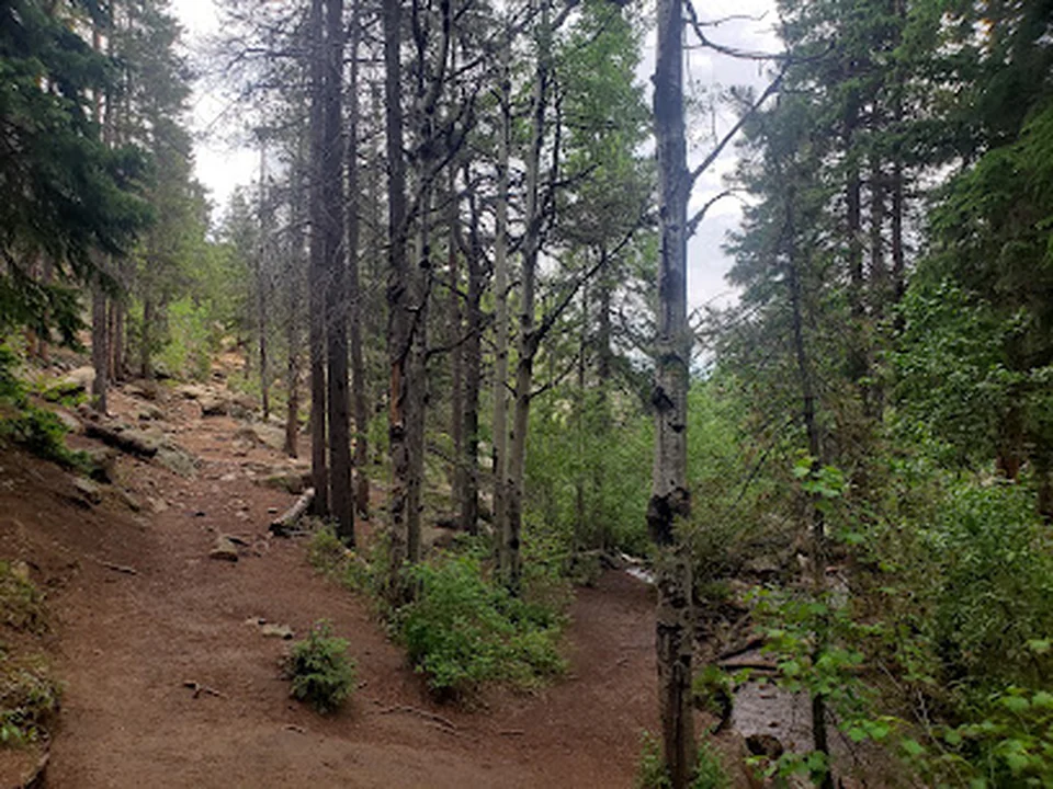 Maxwell Falls Trailhead, Denver