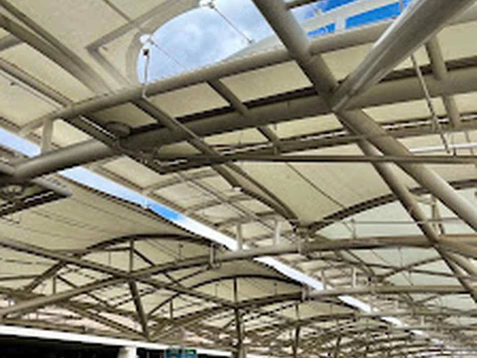 Denver International Airport Pickups