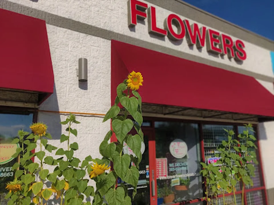 Forever Flowers, Denver