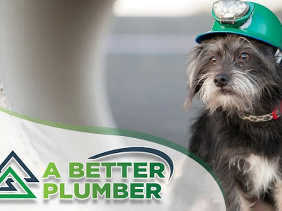 A Better Plumber (an Absolute Plumbing Company), Denver