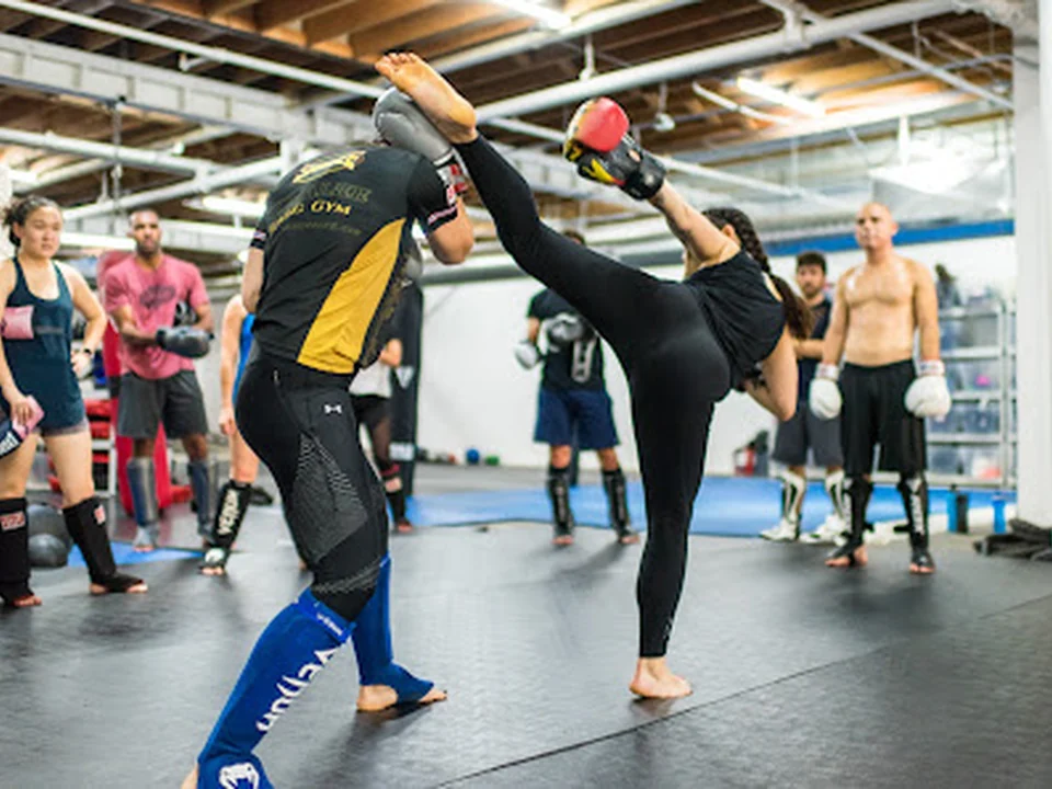 Train. Fight. Win. MMA & Fitness, Denver