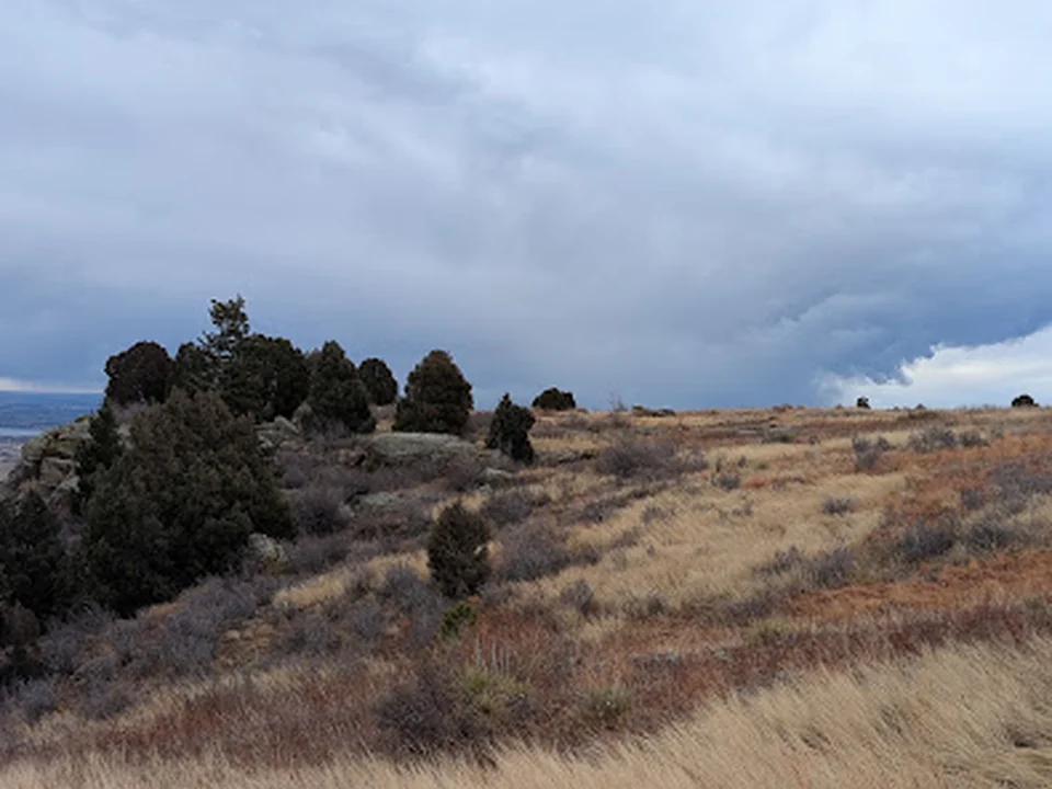 Parks, Forestry and Open Space, Denver