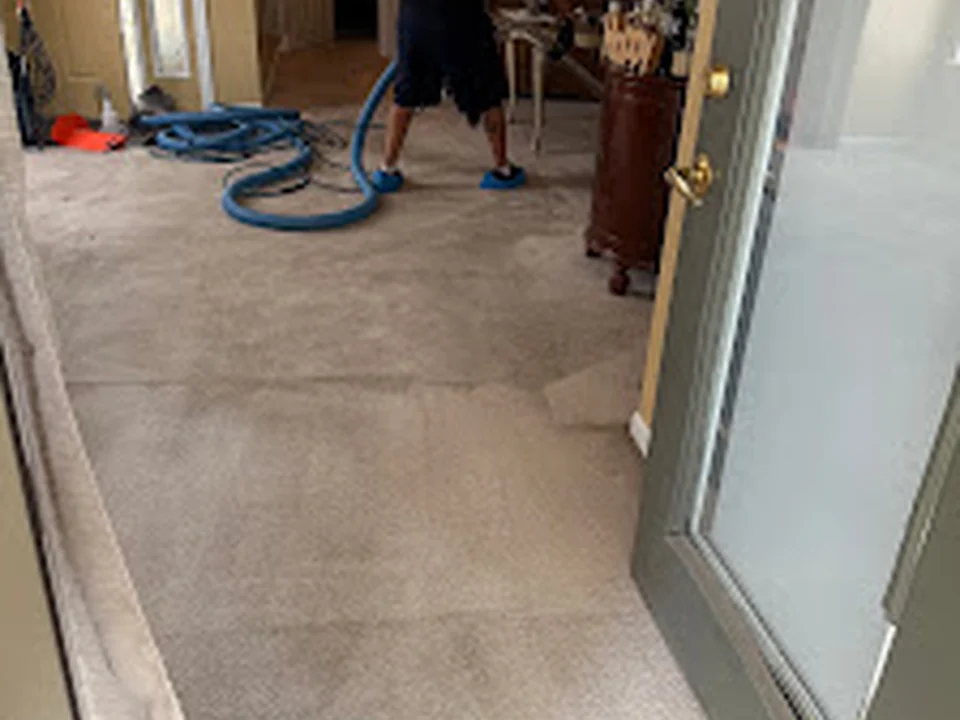 Zerorez Carpet and Air Duct Cleaning of Denver