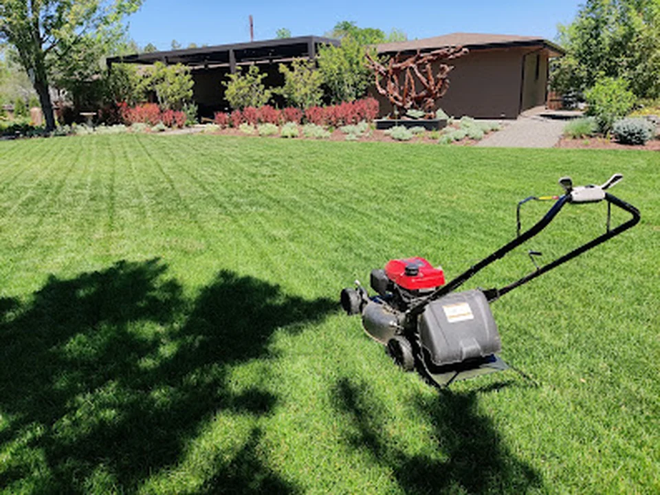 Ace of Spades Gardening & Design | Denver
