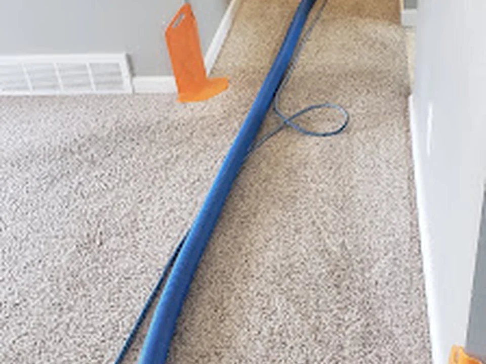 Healthy Home Services of Colorado, Denver
