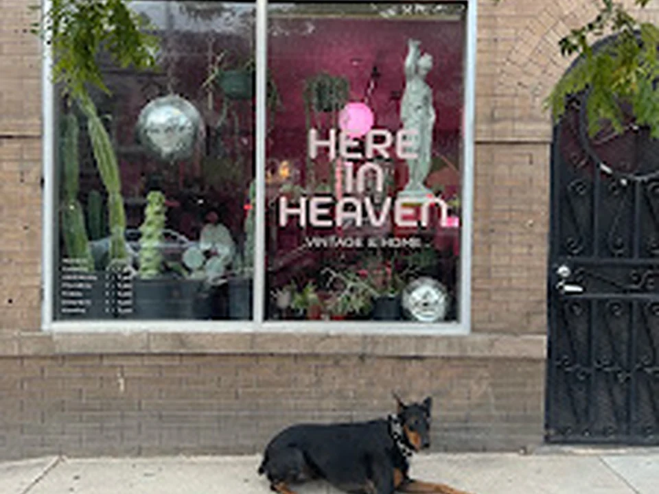 Here In Heaven Vintage, Denver