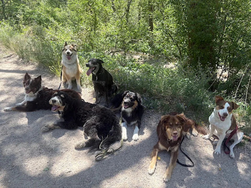 Hunter's Hiking Hounds, Denver