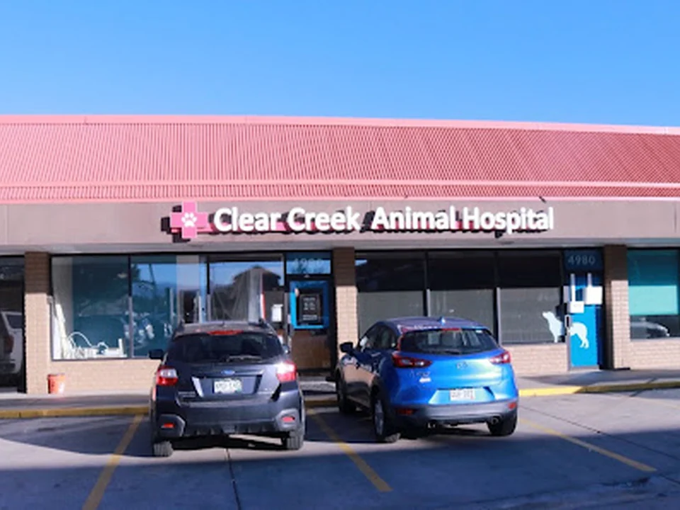 Clear Creek Animal Hospital, Denver