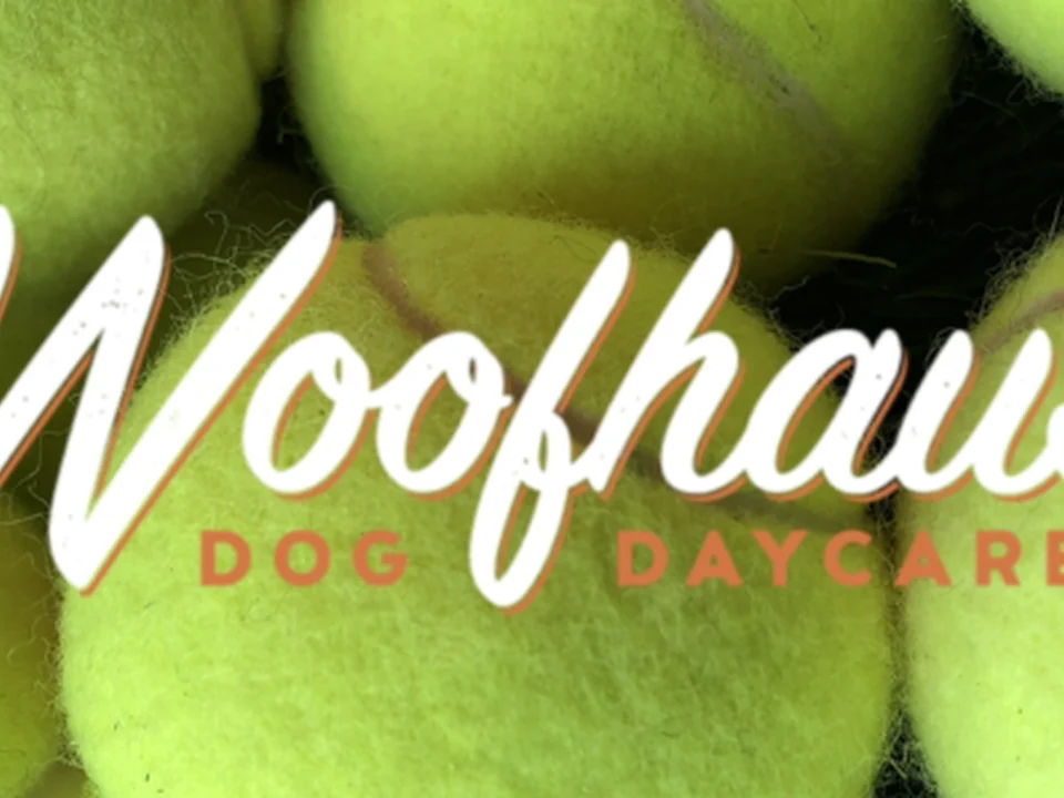 The Woofhaus, Denver
