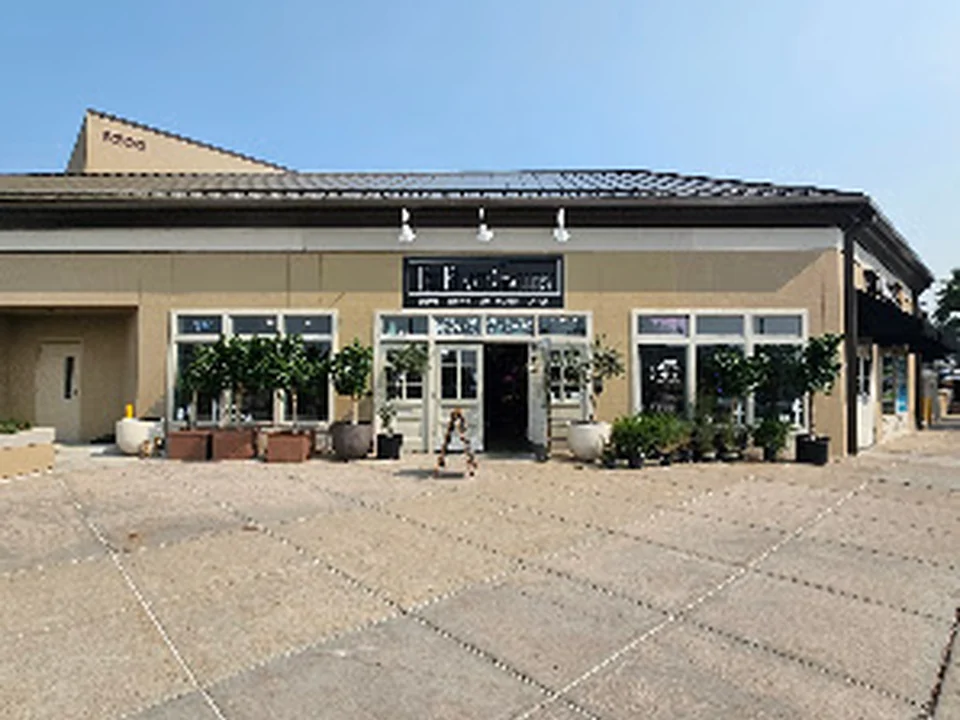 The Plant Gallery & Zalea Flowers, Denver