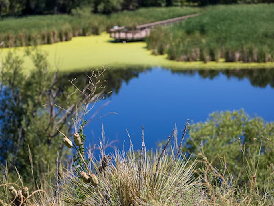 Bluff Lake Nature Center, Denver