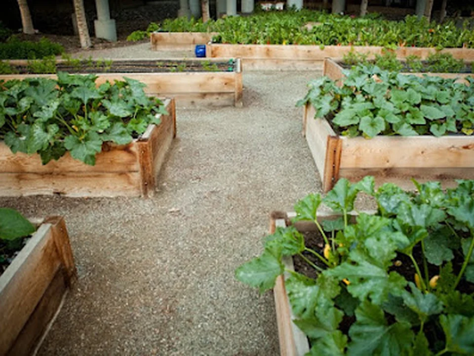 Produce Denver - Garden Beds