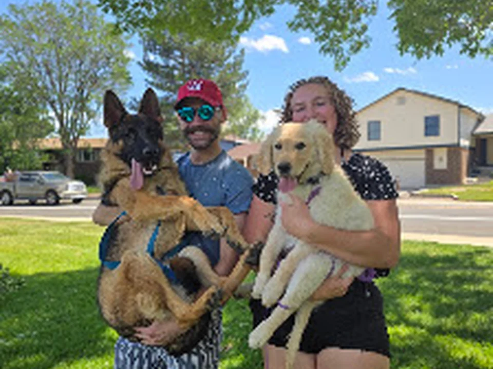 American Canine Academy Dog Training, Denver