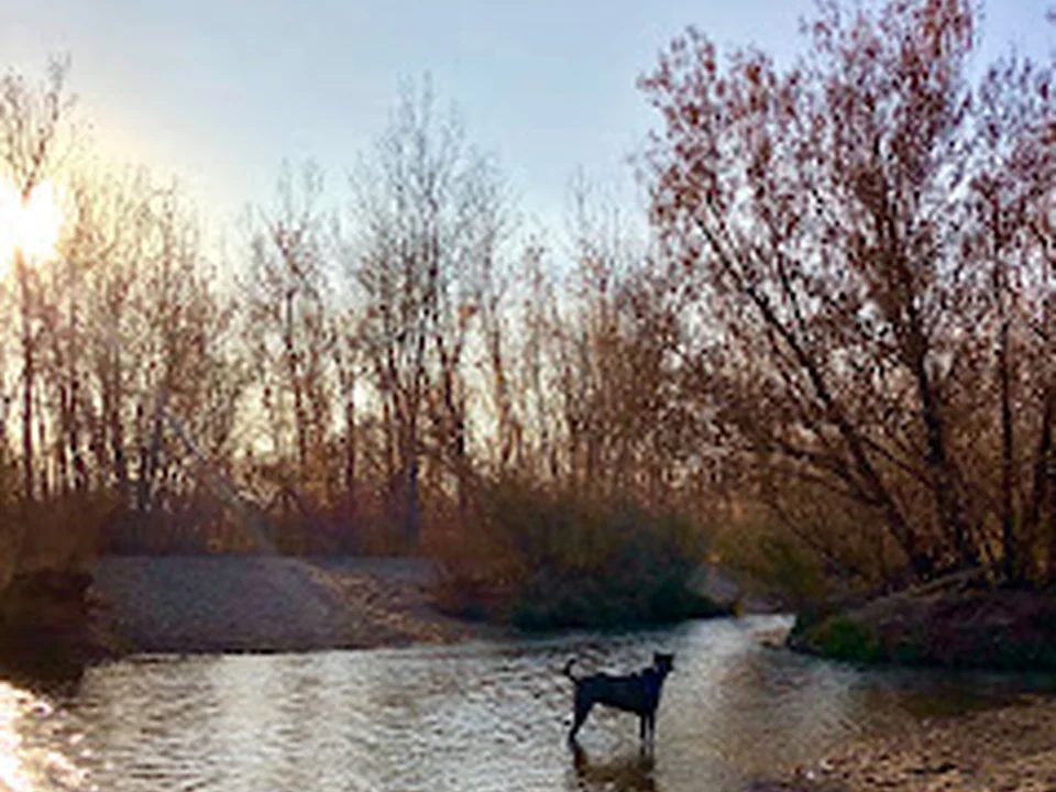 Cherry Creek Dog Park, Denver