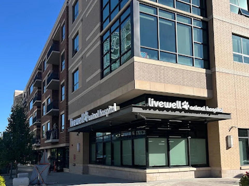 Livewell Animal Hospital of Sloan Lake, Denver
