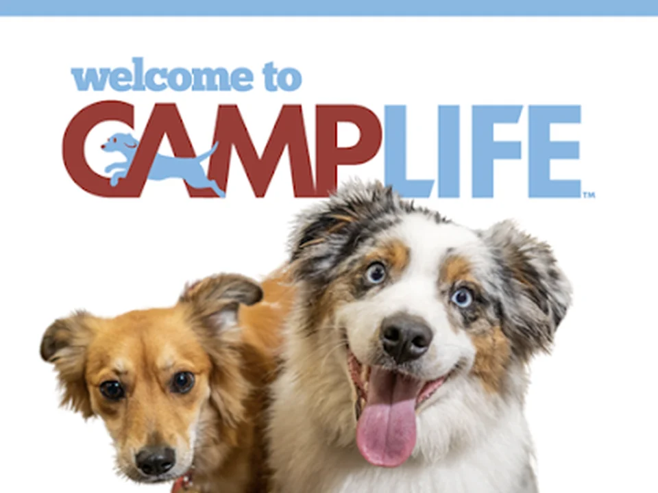 Camp Bow Wow Aurora, Denver