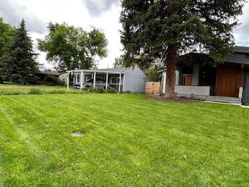 Lawn Love - Denver