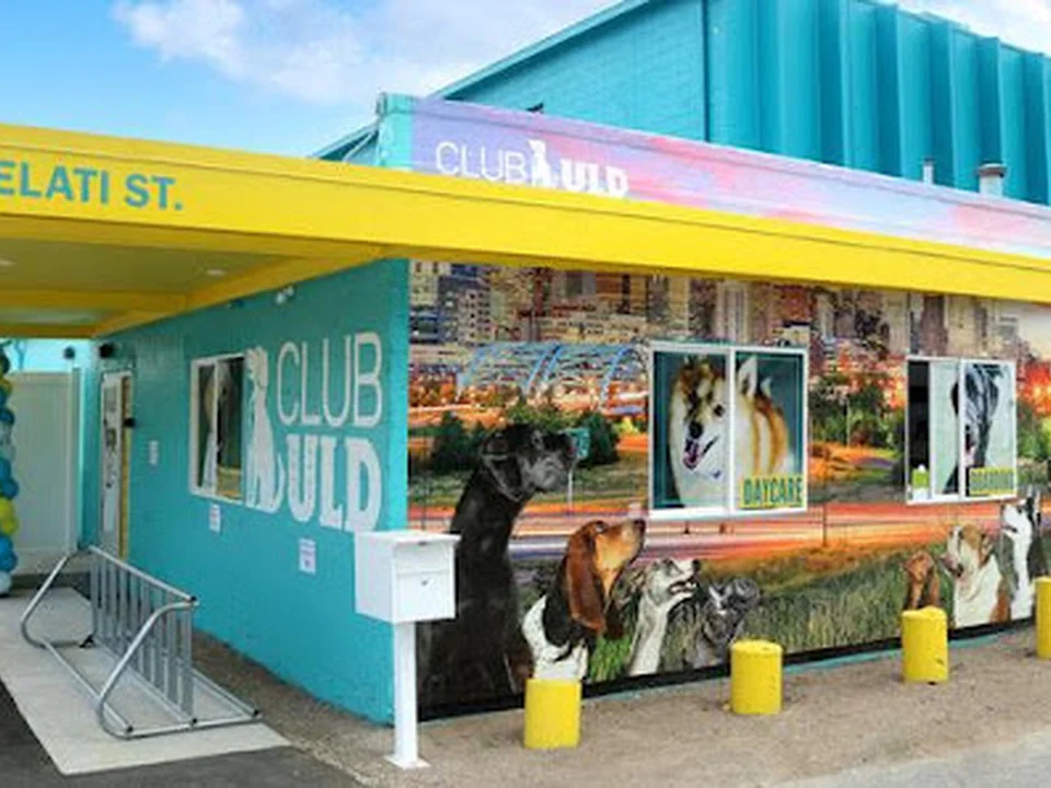 Club ULD - U Lucky Dog Daycare, Denver
