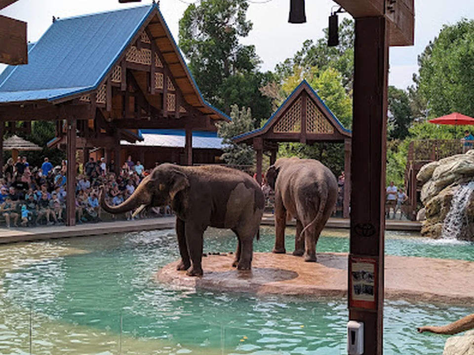 Denver Zoo