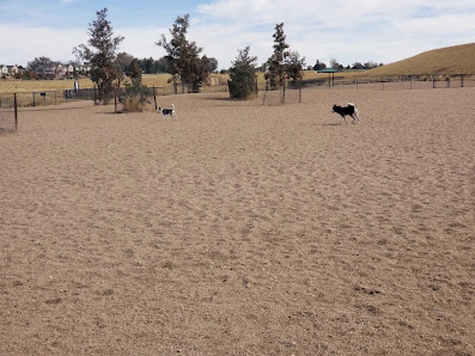 Lowry Dog Park, Denver