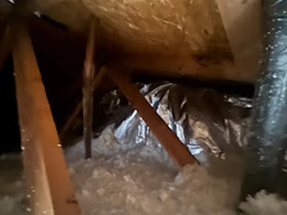 All Tucked Insulation, Denver