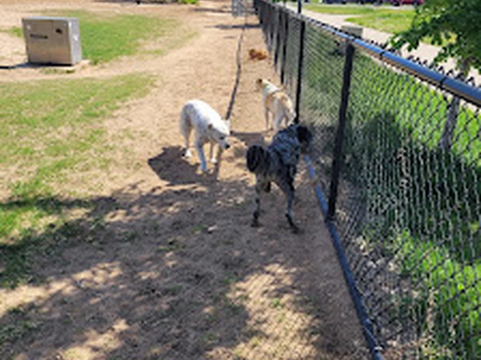 Greenway Off Leash Dog Park, Denver