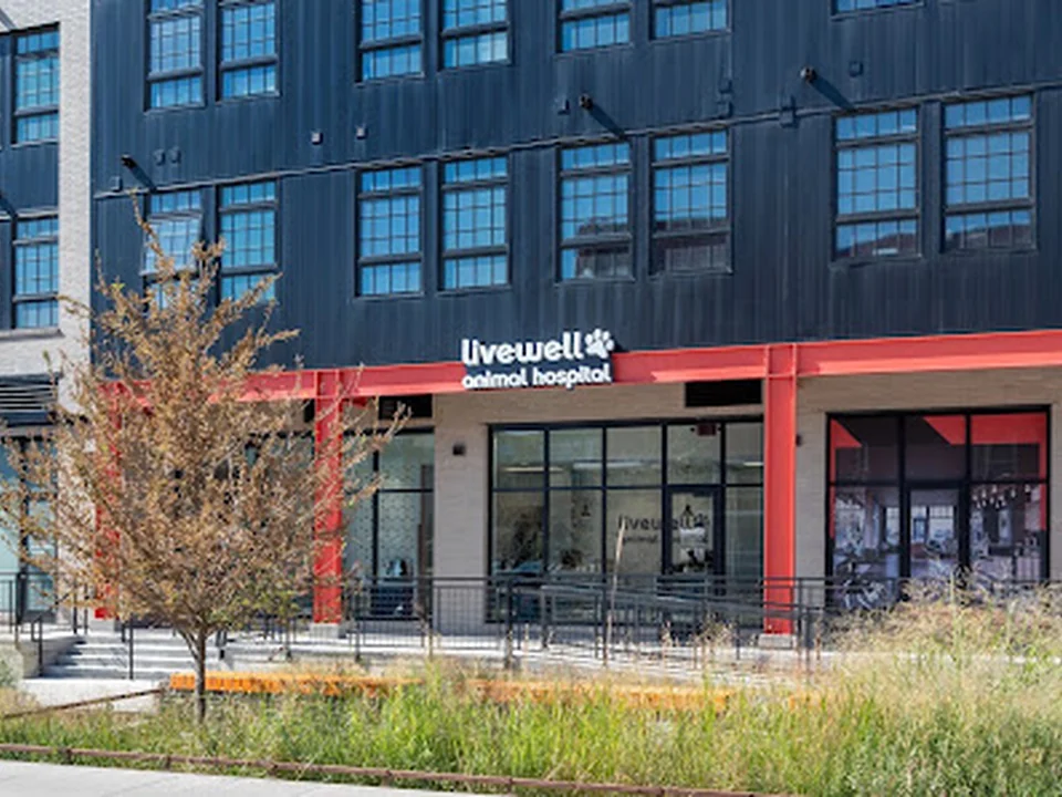 Livewell Animal Hospital of RiNo, Denver